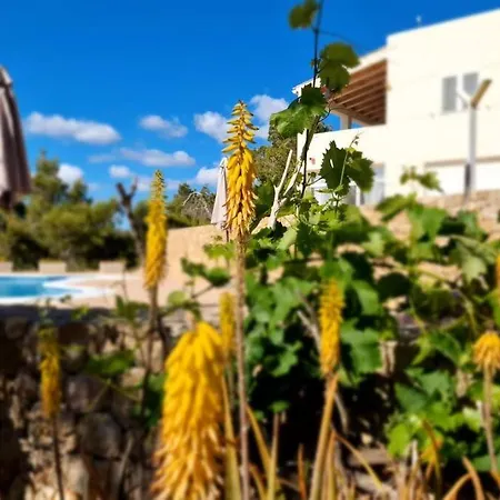 Beautiful Views With Pool In Ibiza סאנט מיגל דה באלאנסט