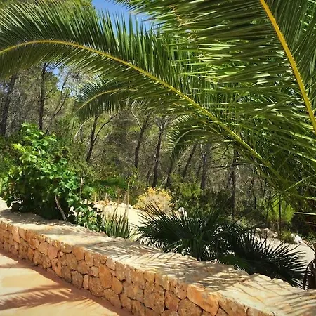 Beautiful Views With Pool In Ibiza סאנט מיגל דה באלאנסט